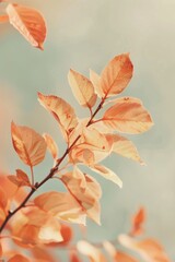 Poster - Close-up photo of vibrant autumn leaves with a soft focus and beautiful bokeh effect in the background