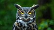 © ViktoGraphics - A closeup of an owl's face, its focused eyes and piercing gaze.