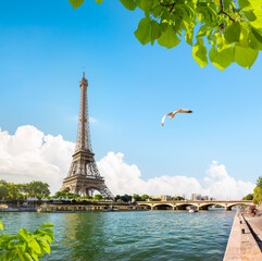 Wall Mural - bridge d'iéna and eiffel tower