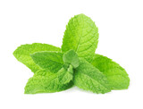 Fototapeta Storczyk - Fresh green  mint leaves  isolated on white background
