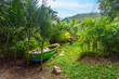 Wooden boat in a tropical garden