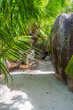 Sandy path surrounded by palms and granite boulders