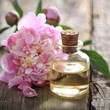 Peony essential oil in bottle on wooden backgrounds