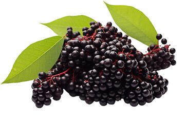 A bunch of black berries with green leaves. The berries are small and round. The leaves are green and have a pointed tip