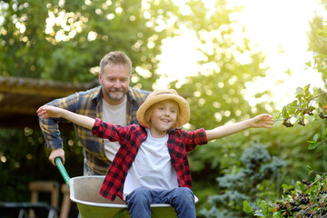 Wall Mural - Wheelbarrow pushing by dad in domestic garden on warm sunny day. Active outdoors games for family with kids in the backyard