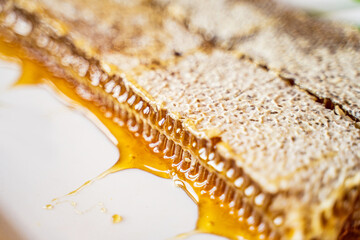 Wall Mural - natural honey in a honeycomb, a juicy appetizing large piece lies cut off and delicious honey slowly flows out of it from the wax compartments