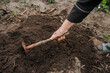 A woman gardener loosens the soil with a hoe and garden tool. Close-up photography, agriculture concept.