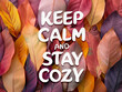 Keep Calm and Stay Cozy White Text on Autumn Leaves Background.