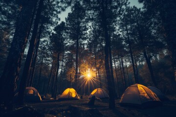 Poster - Golden hour twilight camping in the illuminated pine forest with tents under the sunset rays, offering a serene and tranquil outdoor adventure and recreation in the wild habitat of nature