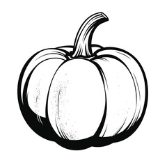 Wall Mural - Black and white drawing of a pumpkin with detailed shading.