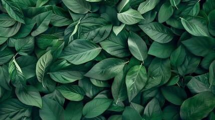 Poster - Creative layout made of green leaves Flat lay Nature spring concept : Generative AI