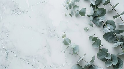 Aufkleber - Marble paper blank eucalyptus branches on pastel gray background Flat lay top view square copy space : Generative AI