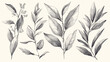 Bay leaf seeds growing hand drawn sketch vector ill