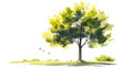 illustration Vector watercolor of tree side view isolated on white background for landscape and architecture drawing, elements for environment and garden, painting.Generative Ai