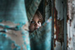 © Anastasia - Poor child peeking through torn curtains in a dimly lit room