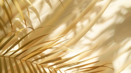 Aufkleber - Minimalist aesthetic natural summer background with blurry sunlight shadow of tropical palm leaves on a neutral beige curtain copy space : Generative AI
