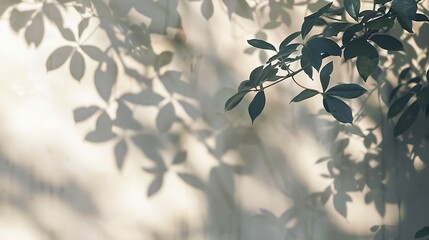 Aufkleber - Leaf shadow and light on wall blur background Nature tropical leaves tree branch plant shade sunlight on white wall texture shadow overlay effect foliage mockup graphic layout wallpape : Generative AI