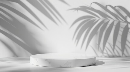 Aufkleber - White background of wall with palm shadows and white stone podium Free space for your decoration product presentation mock up show cosmetic product display Podium stage pedestal or pla : Generative AI