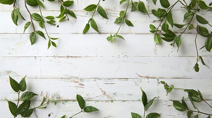 Poster - Old white wooden background with green leaves top view copy space Spring twigs on shabby background frame flat lay : Generative AI