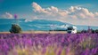 © Generative AI - Camper vehicle camping on summer nature at lavender blooming purple field in France Holidays vacation with motorhome : Generative AI