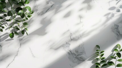 Wall Mural - Empty marble board with green leaves on a light background with shadow Layout concept for presentation of promotional products sale or demonstration of cosmetics Front view and copy sp : Generative AI