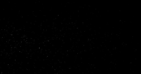Wall Mural - Natural Organic Dust Particles Floating On Black Background. Dynamic Dust Particles Randomly Float In Space. Shimmering Glittering Dust Particles With Bokeh. Slow motion on Black Background.