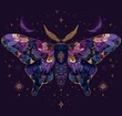 A  vintage moth with flowers and a crescent moon hovers above it creating a night landscape