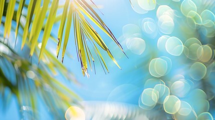 Wall Mural - Panorama of blurred blue sky and sea with bokeh light and leaves of coconut palm tree Landscape of tropical summer Summer vacation concept : Generative AI
