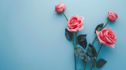 Aufkleber - Flowers composition Pink rose flowers on pastel blue background Valentines day mothers day womens day concept Flat lay top view copy space : Generative AI