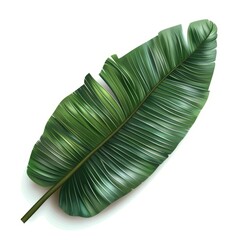 Tropical green leaf, illustration.  3d cartoon style.