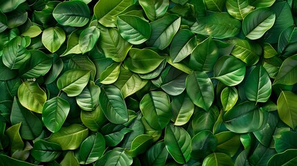 Aufkleber - Creative layout made of green leaves Flat lay Nature background : Generative AI