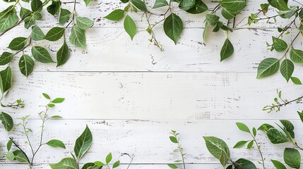 Aufkleber - Old white wooden background with green leaves top view copy space Spring twigs on shabby background frame flat lay : Generative AI