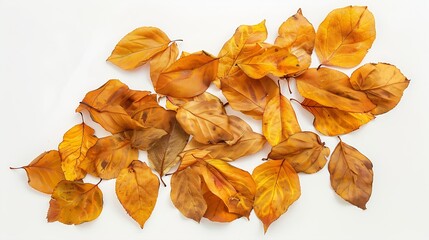 Poster - Autumn creative composition Dried leaves on white background Fall concept Autumn background Flat lay top view copy space : Generative AI