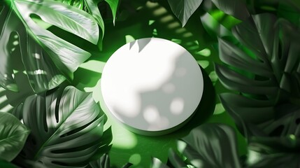 Aufkleber - White round template podium mockup for natural organic cosmetic product presentation ad concept on green eco forest fresh leaves nature flatlay background trendy stylish minimalist fla : Generative AI