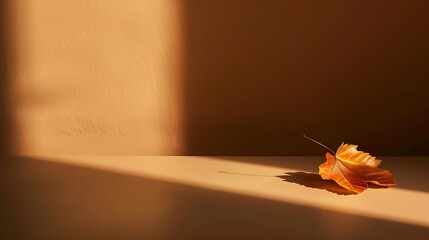 Poster - A minimalist autumn landing on a brown table and shadows on the wall : Generative AI