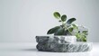 © Generative AI - nature stone podium plant on white background for productstylish showcase mock up for exhibition presentation of goods Exhibition display podium : Generative AI