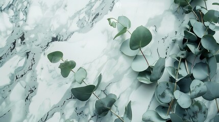 Poster - Border of eucalyptus leaves on a marble background Lay flat : Generative AI