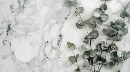 Aufkleber - Marble paper blank eucalyptus branches on pastel gray background Flat lay top view square copy space : Generative AI