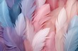 Pastel light feathers, closeup, nature background