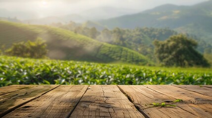 Aufkleber - Wooden table top on blur green tea mountain and grass fieldFresh and Relax conceptFor montage product display or design key visual layoutView of copy space : Generative AI