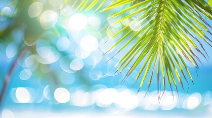 Poster - Panorama of blurred blue sky and sea with bokeh light and leaves of coconut palm tree Landscape of tropical summer Summer vacation concept : Generative AI