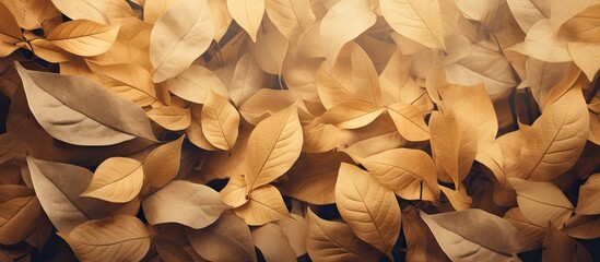 Wall Mural - An image of dried brown and yellow leaves with space for copying