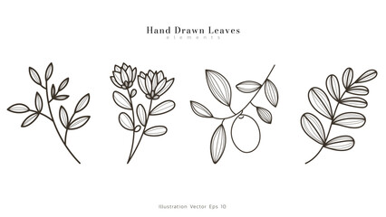 Wall Mural - Collection set Minimal drawn floral leaves botanical line art Hand drawn leaves line Floral branch , Minimal line art drawing for print on white background, Vector illustration EPS 10