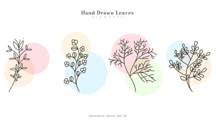 Wall Mural - Minimal drawn floral leaves botanical line art on colorful circle background, Hand drawn leaves line Floral branch , Minimal line art drawing for print, Vector illustration EPS 10