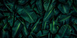 Group background of dark green tropical leaves background. concept of nature