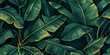 Group background of dark green tropical leaves background. concept of nature