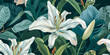 Madonna Lily. White Easter Lily flowers in garden. Lilies blooming. Lilium Candidum. Garden Lillies with white petals.