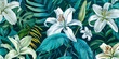 Madonna Lily. White Easter Lily flowers in garden. Lilies blooming. Lilium Candidum. Garden Lillies with white petals.