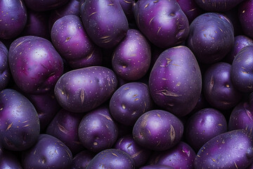 Wall Mural - purple potatoes background | fresh produce design | vibrant purple, nutrient-rich, culinary ingredie