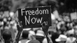 © Parintron - A black and white photo of a person holding a sign that says 'Freedom Now'